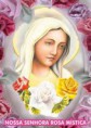 EQUIPE 36  NOSSA SENHORA ROSA MÍSTICA